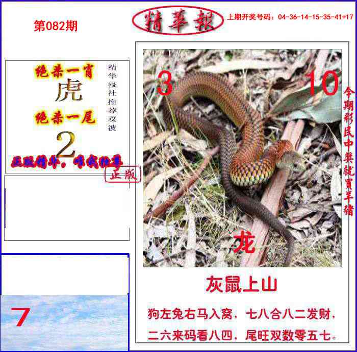 082期新精华报报[图]